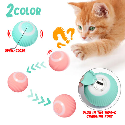 Cat Electric Ball