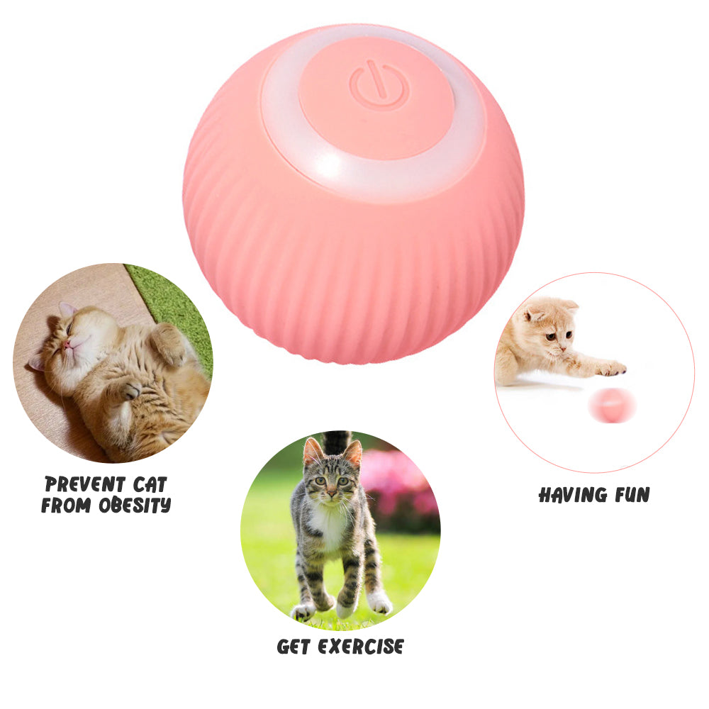 PurrPlay – Smart Electric Cat Ball