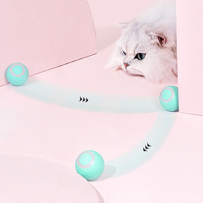 Cat Electric Ball