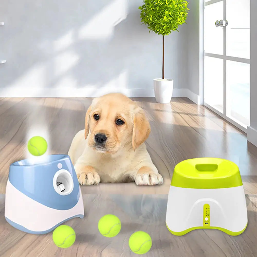 FetchMate – Automatic Tennis Ball Thrower
