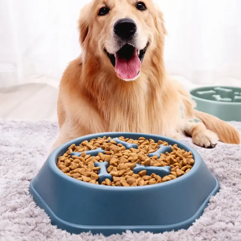 PawPlate – Interactive Slow Feeder Dish