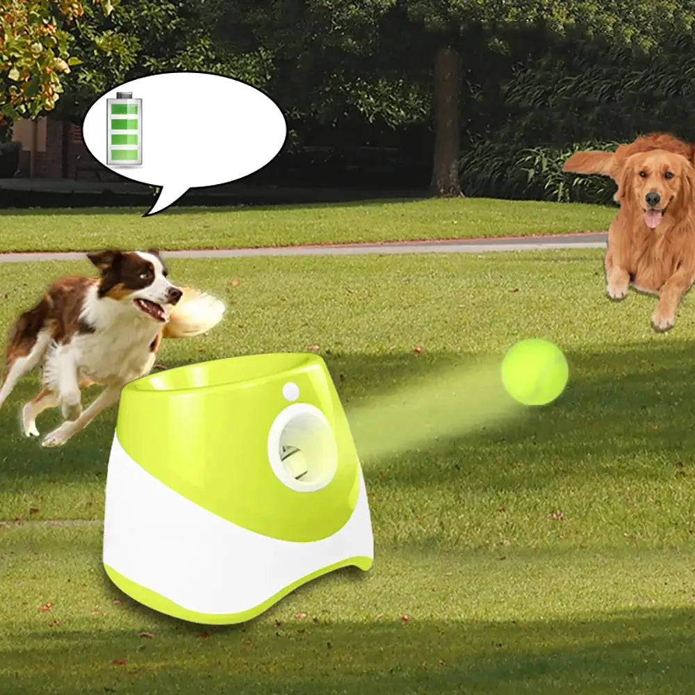 FetchMate – Automatic Tennis Ball Thrower