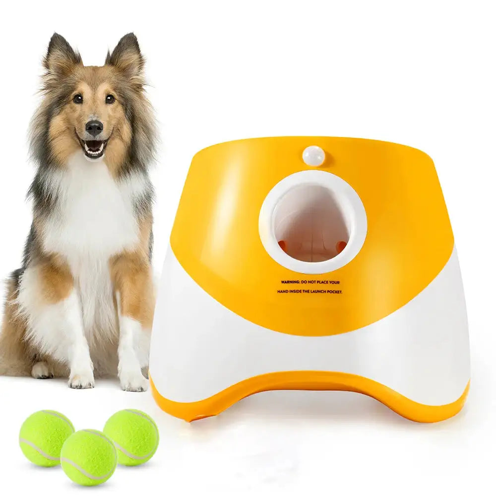 FetchMate – Automatic Tennis Ball Thrower