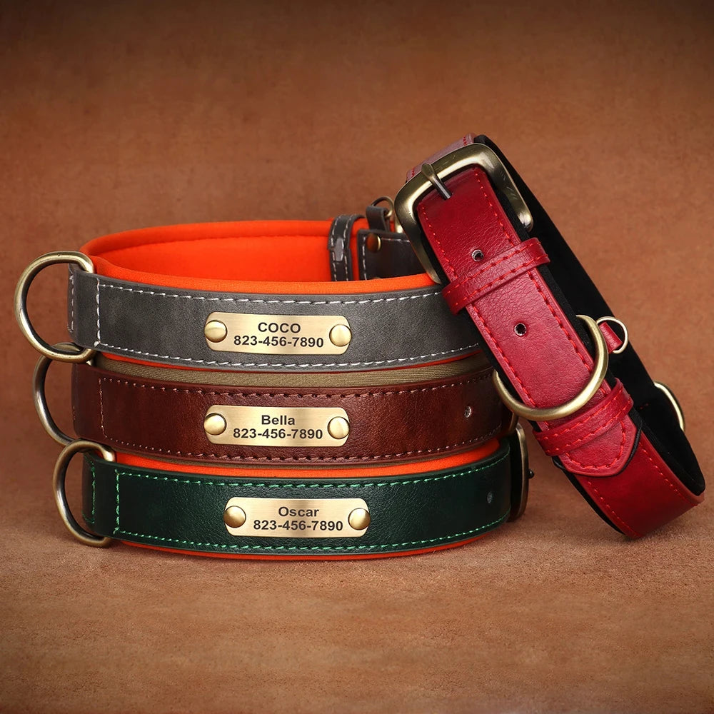 WanderID - Customized Leather ID Collar