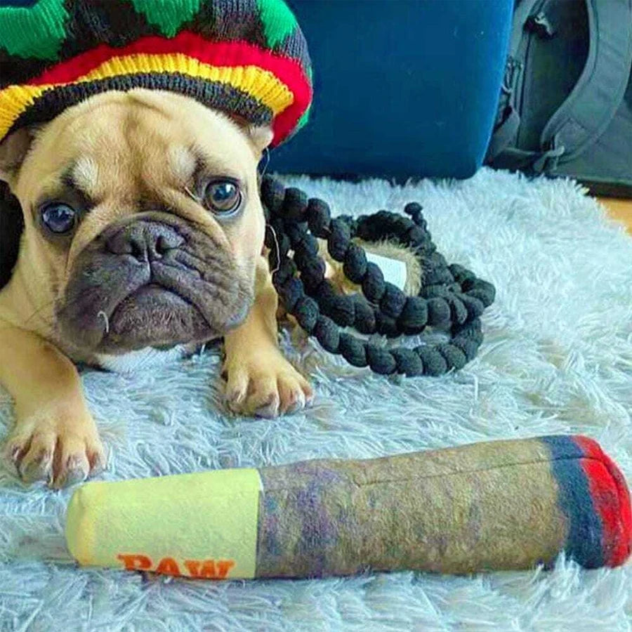 PuffPup Cone Chew Toy