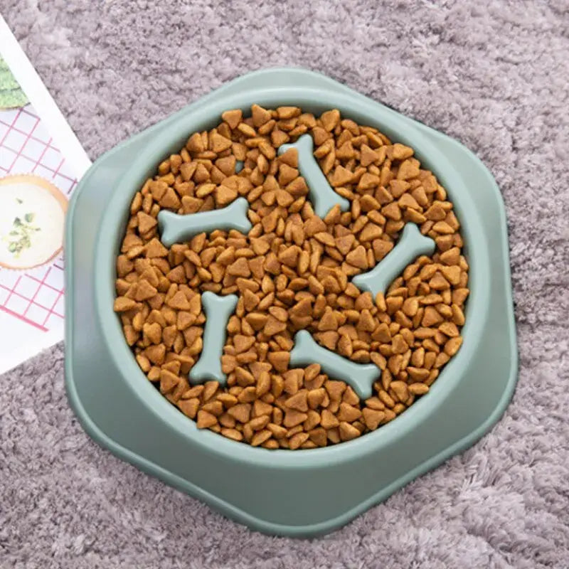 PawPlate – Interactive Slow Feeder Dish