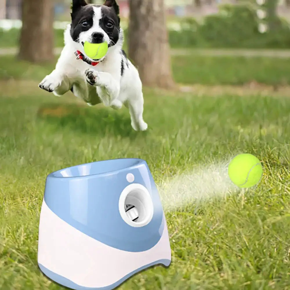 FetchMate – Automatic Tennis Ball Thrower