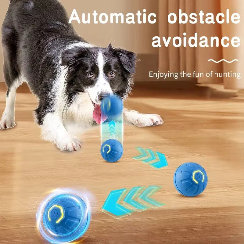 PlayPal Smart Motion Ball