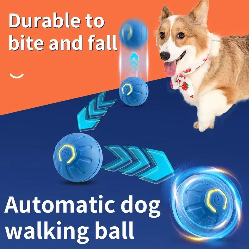 PlayPal Smart Motion Ball