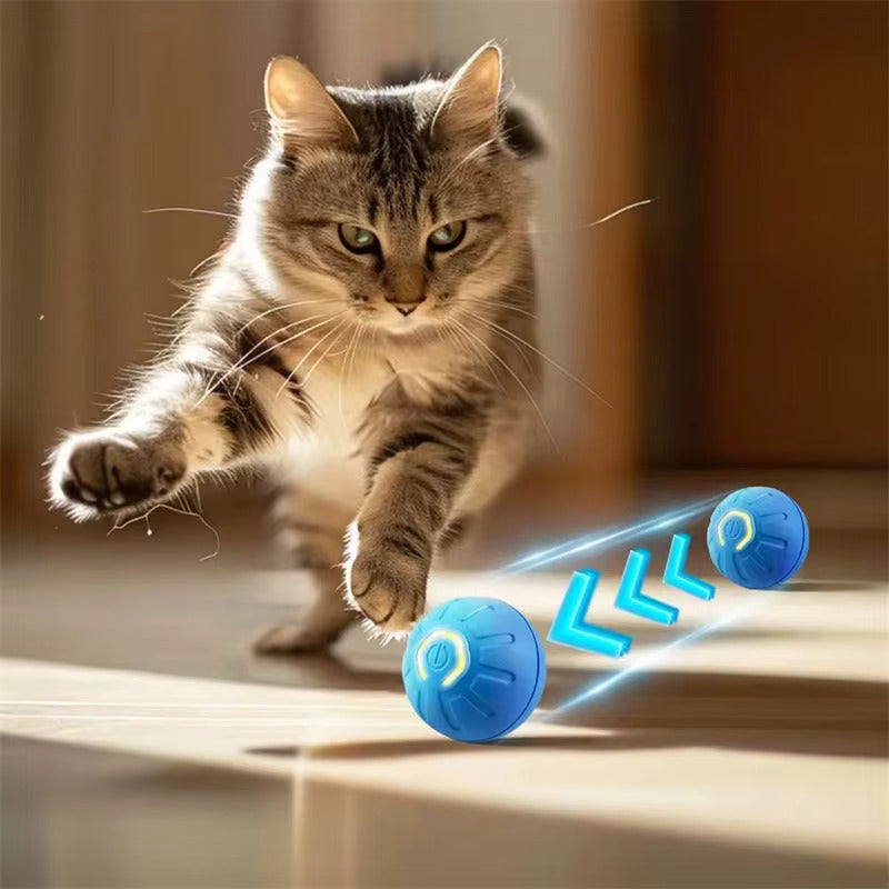 PlayPal Smart Motion Ball