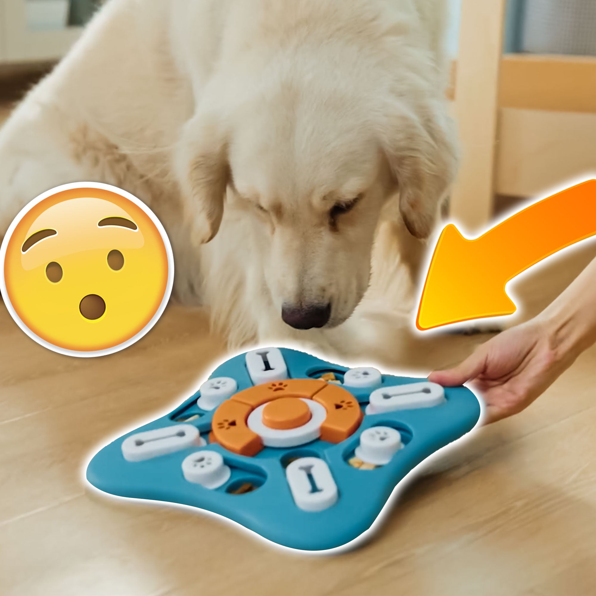 Pawzzle - Smart Dog Puzzle Feeder