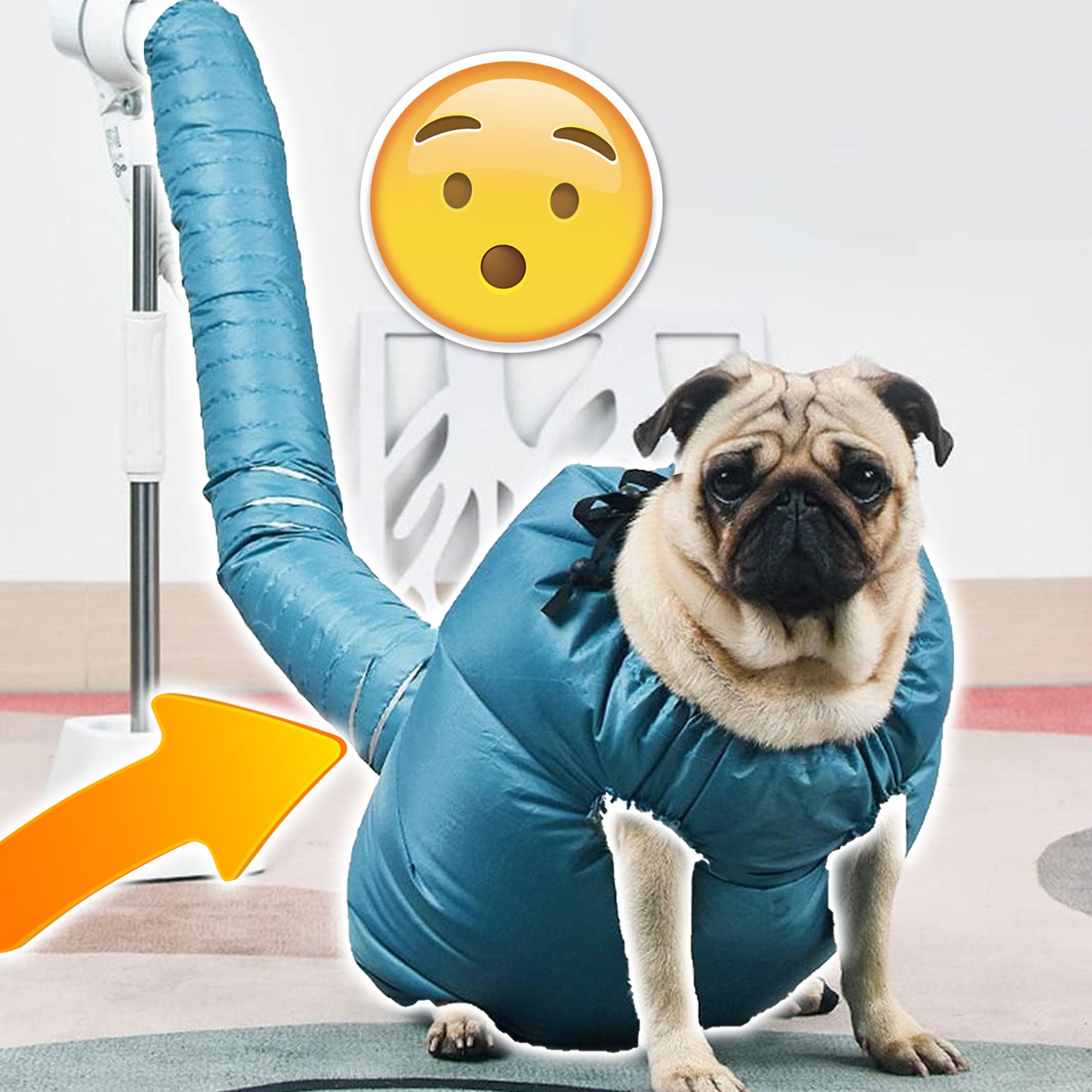 TurboPup Quick-Dry Groomer