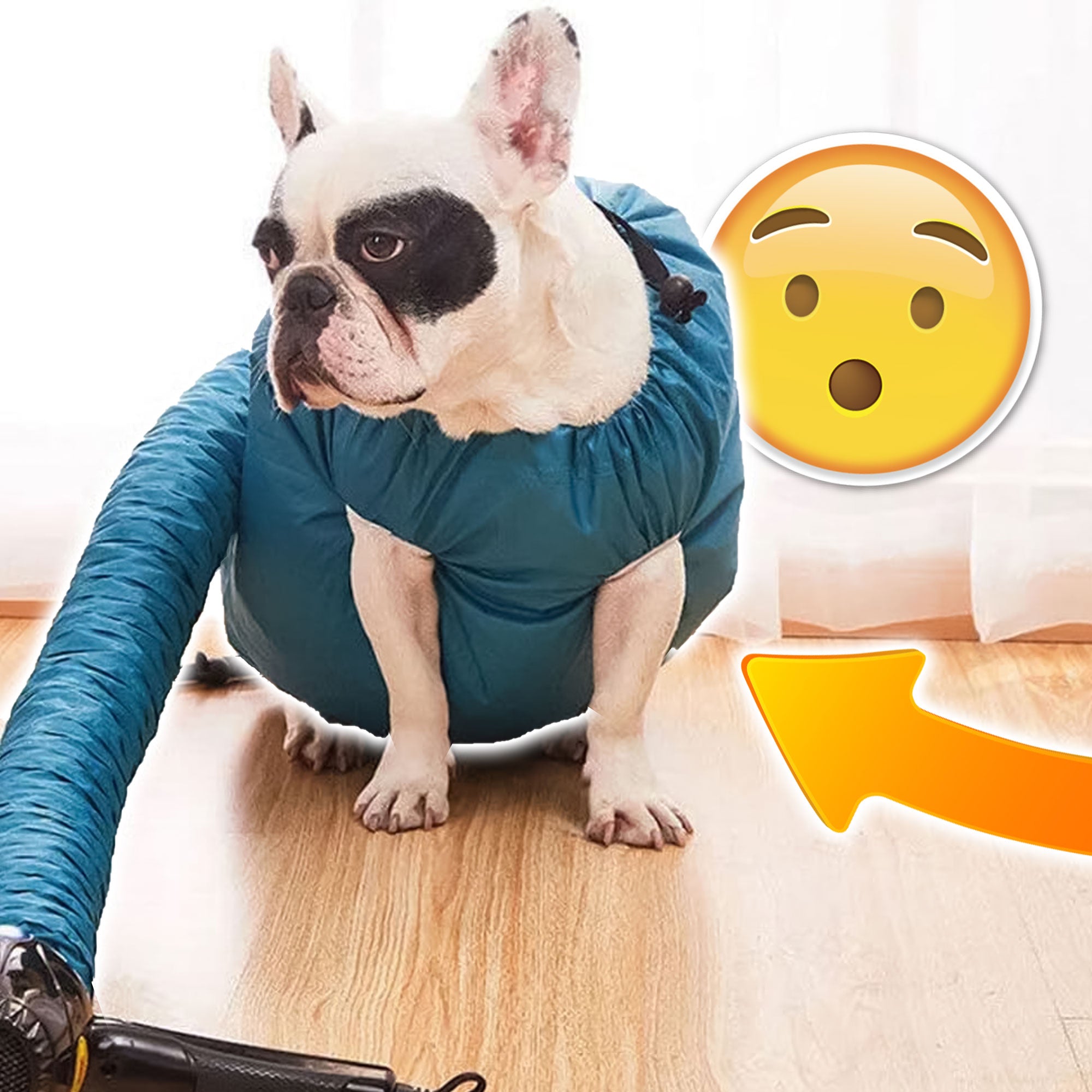 TurboPup Quick-Dry Groomer