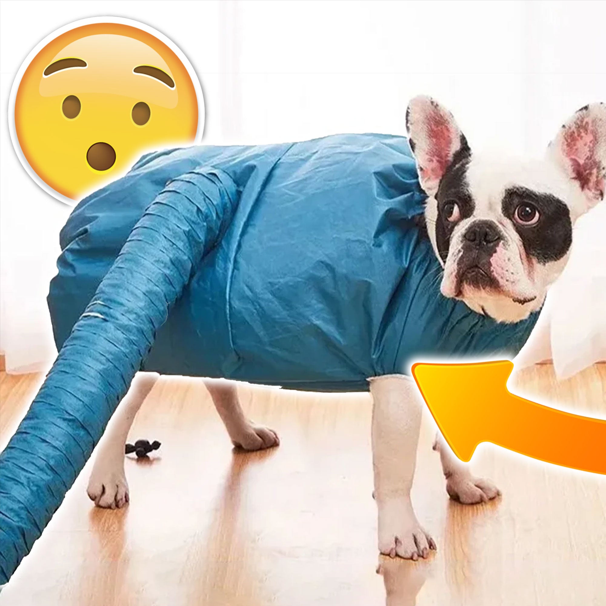 TurboPup Quick-Dry Groomer